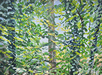 Sternwald 14, 2018, Öl auf Leinwand, 30 x 40 cm